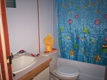 bath sink-shw curt.jpg