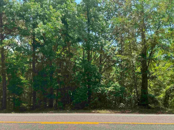 Tbd E Fm 852, Winnsboro, TX 75494