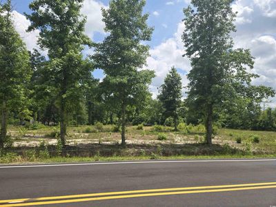 1380 Highway 915, Loris, SC, 29569