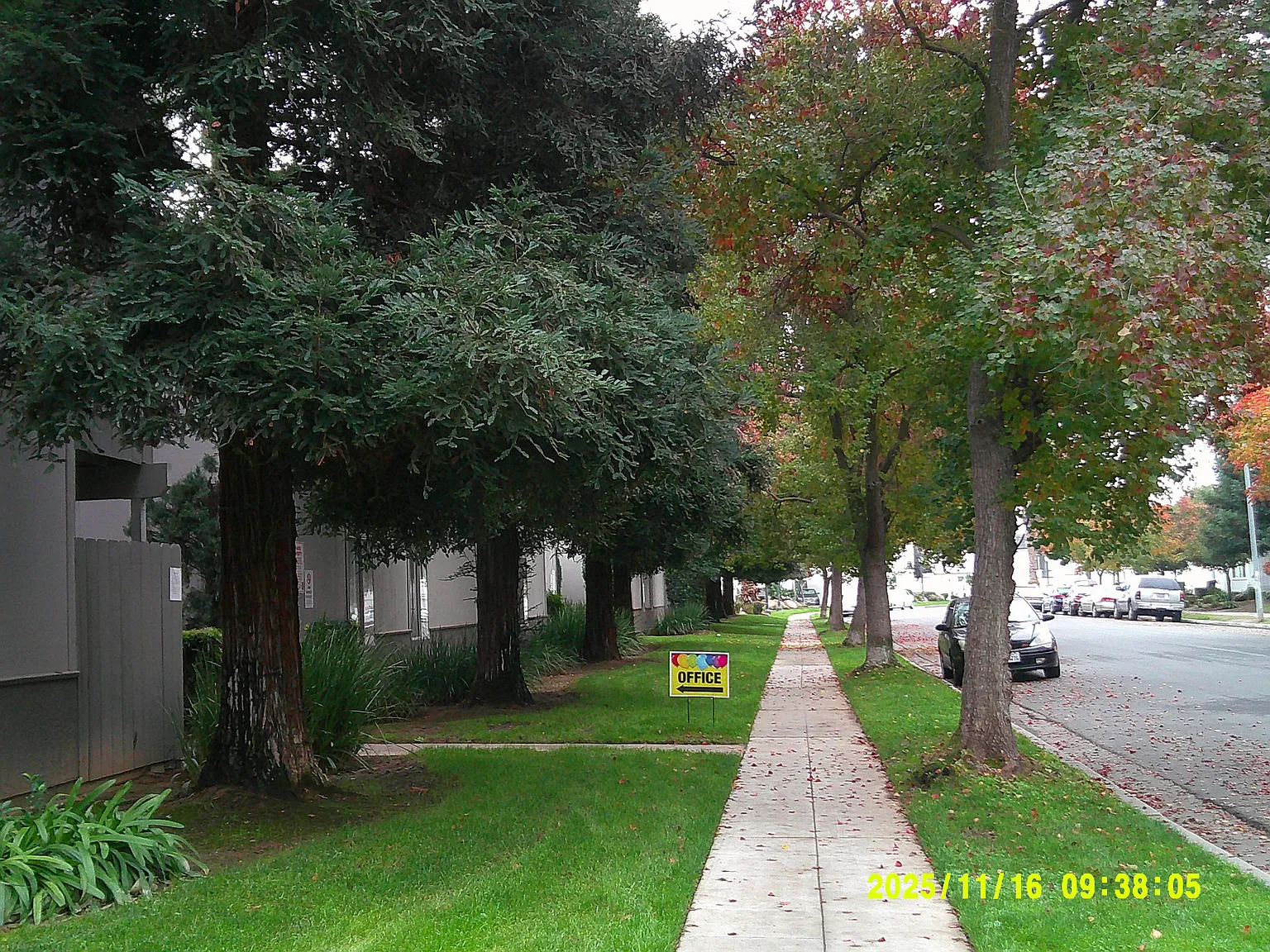 Lindsay Apartments — Photo 4