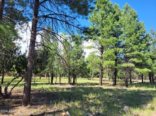 4097 Timberline Dr #34, Happy Jack, AZ 86024