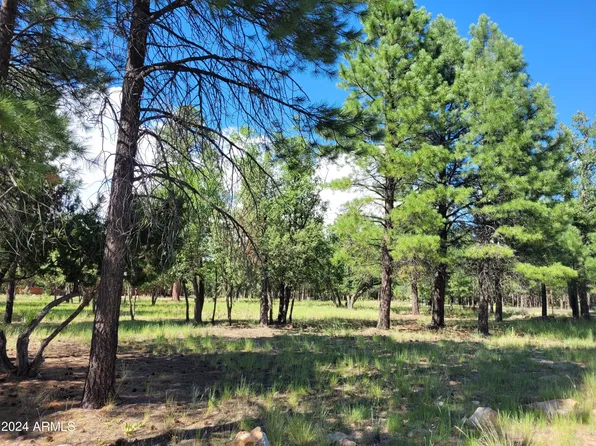 4097 TIMBERLINE Drive #34, Happy Jack, AZ 86024