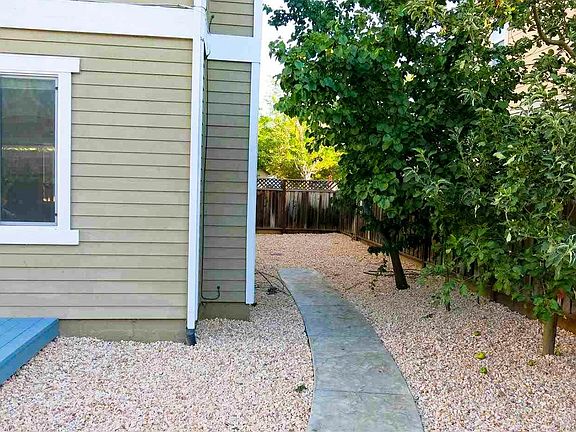 Side yard with Fruit trees