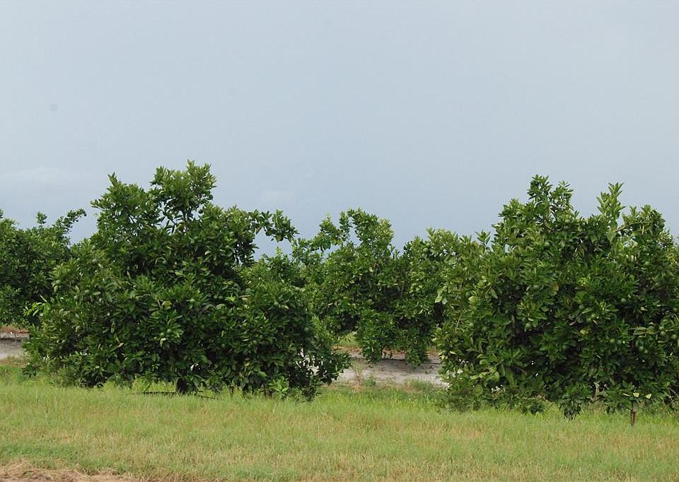1st image of NE HIGHWAY 70 #3-10-02