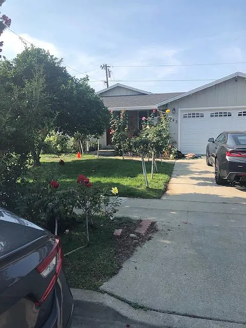 943 Rose Blossom Dr photo 1