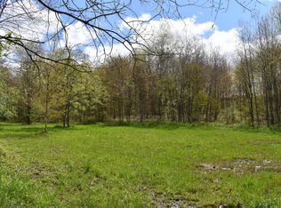 0 Earl Seaton Rd, Randolph, NY 14772