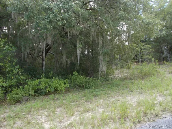 2656 W Braganza St, Citrus Springs, FL 34433
