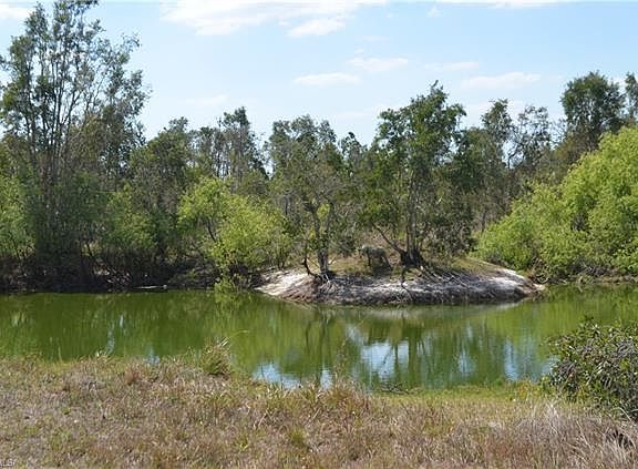 5th image of 4185 Everglades Blvd N