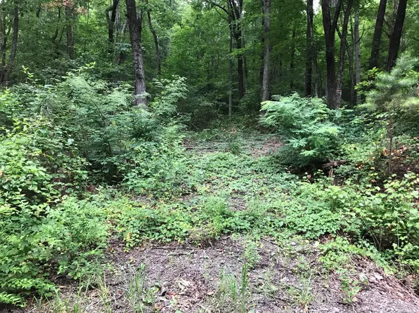 1 Smith Mountain Rd Unit 1, Dunlap, TN 37327