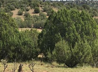 County Road B27 Tracts C3 #&-C4, Las Vegas, NM 87701