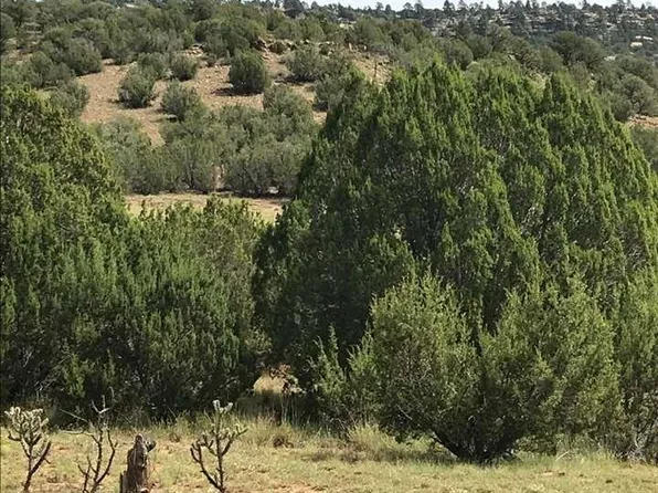 County Road B27 Tracts C3 #&-c4, Las Vegas, NM 87701