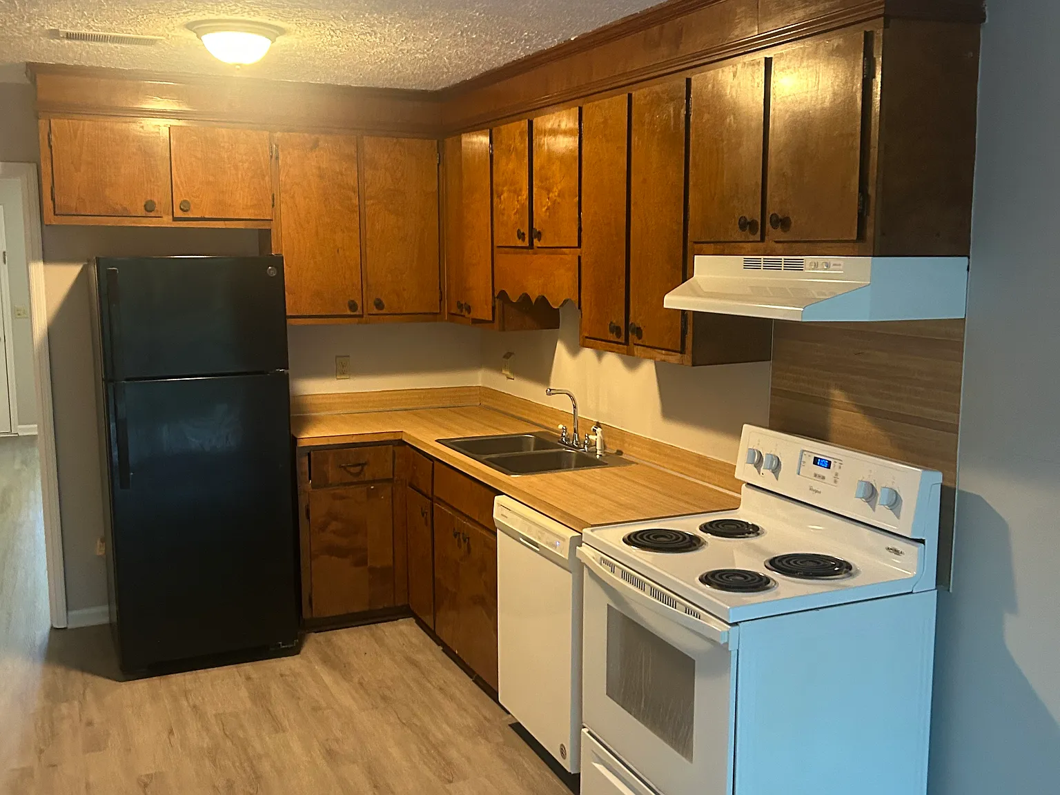 1 bed, $850 — Photo 2