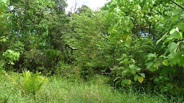 1st image of 37th Ave Lot 63