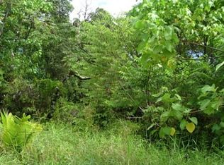 37th Ave LOT 63, Keaau, HI 96749