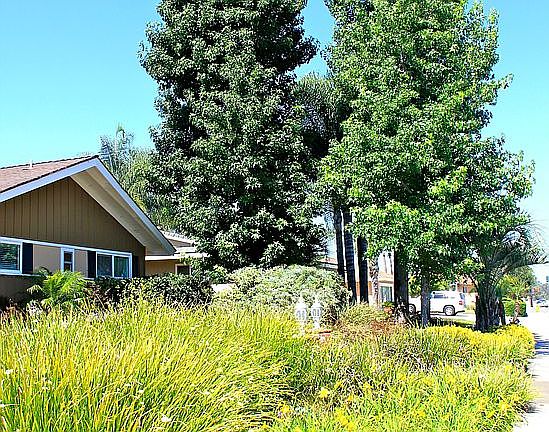 3 Sugargums provide shade