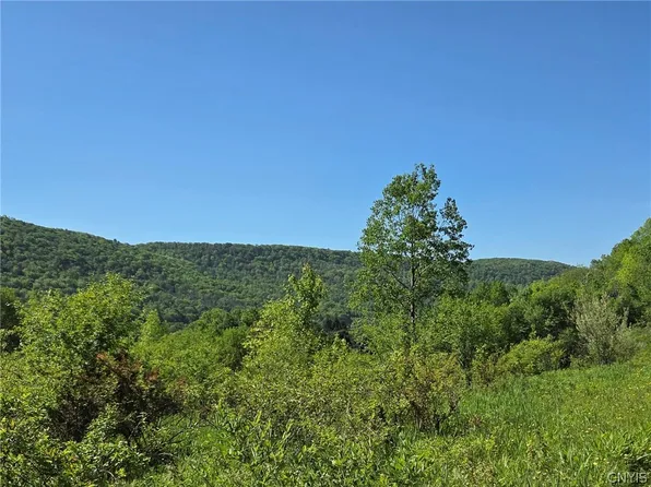 Nys Rte #446, Cuba, NY 14727