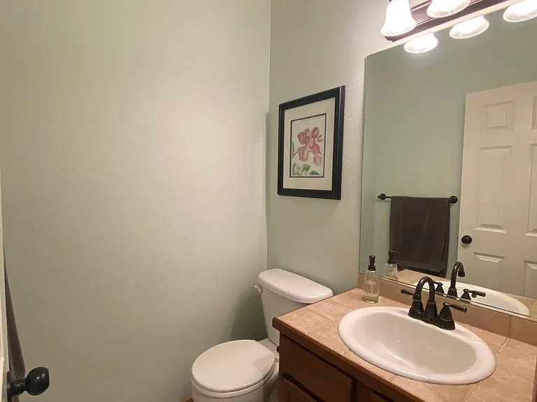 Down Stairs Bathroom