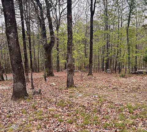 4th image of 2203 Stewart Rd