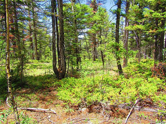5th image of LOT 6082 Stella Road Road