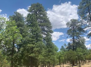 2477 Ruidoso Dr, Happy Jack, AZ 86024