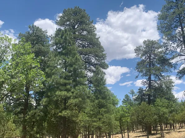 2477 Ruidoso Dr, Happy Jack, AZ 86024