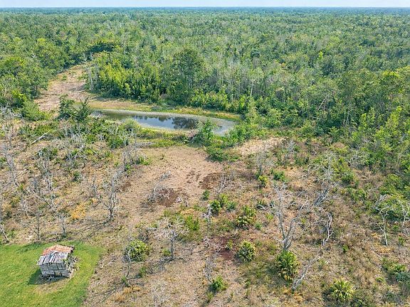 2nd image of 1163 SW Bryan Earnhardt Rd