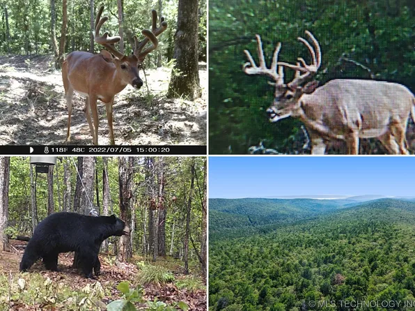 SE 240th Rd, Tuskahoma, OK 74574