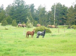 39 Spur Ct, Ward, CO 80481