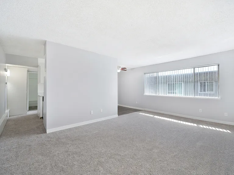 The Canopy | Living Room