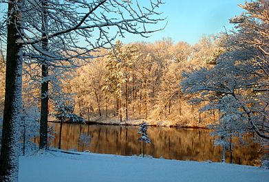 Winter Lake view