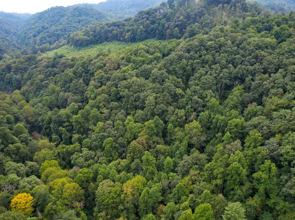 Livingston Creek Rd, Bristol, VA 24202