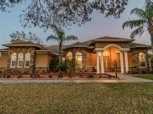 19921 Dolores Ann Ct, Lutz, FL 33549