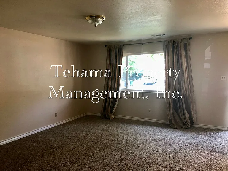 925 Hasvold Dr — Photo 19