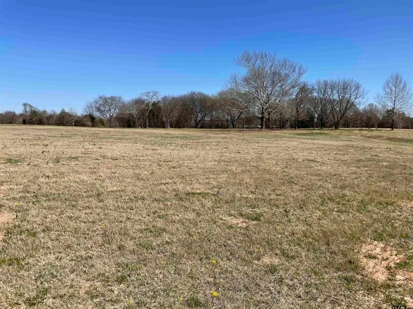 5 Tompkins Ests, Chandler, TX 75758