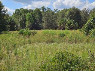 Harper Rd, Pierson, FL 32180