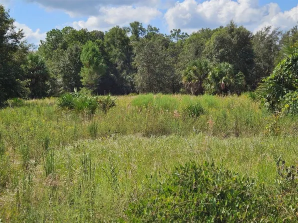 Harper Rd, Pierson, FL 32180