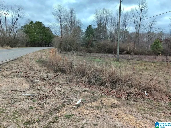 6035 Redmill Saragossa Rd #0, Nauvoo, AL 35578