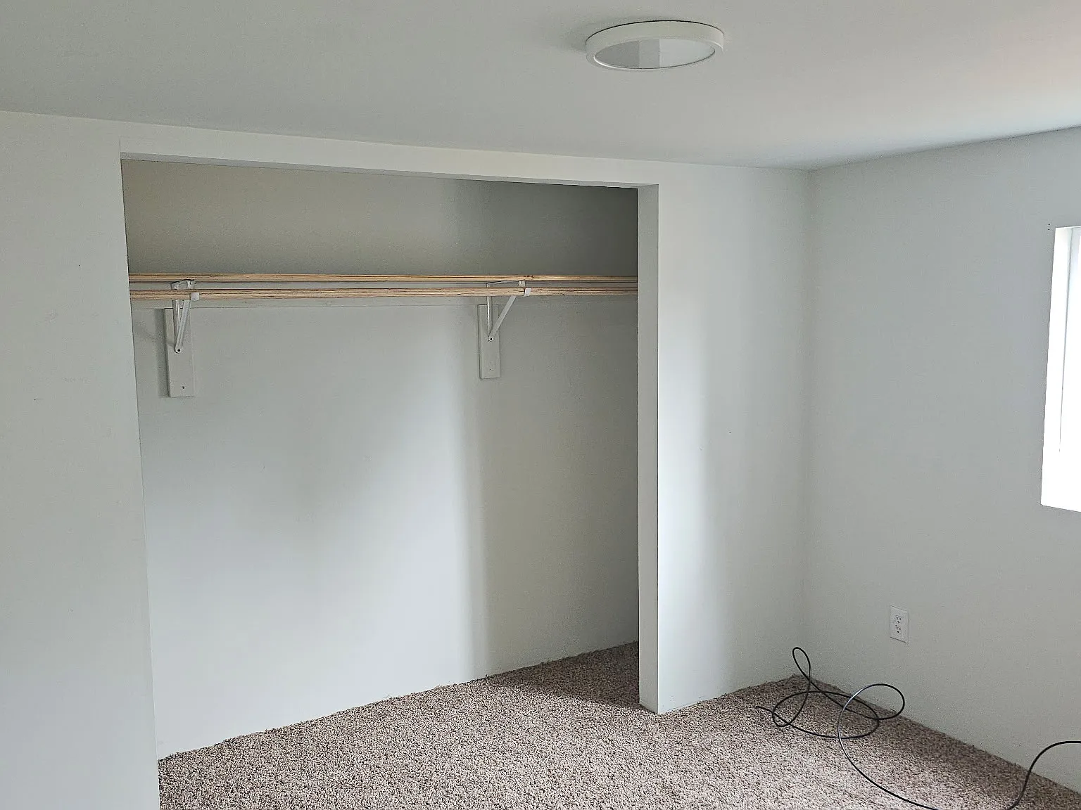 3 bed, 980 sqft, $1,310 — Photo 4