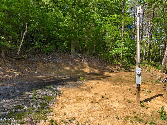 5th image of 1243 Brandon Hollow Ln