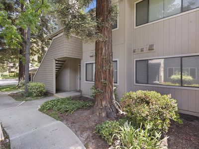 5707 Makati Cir APT B, San Jose, CA, 95123