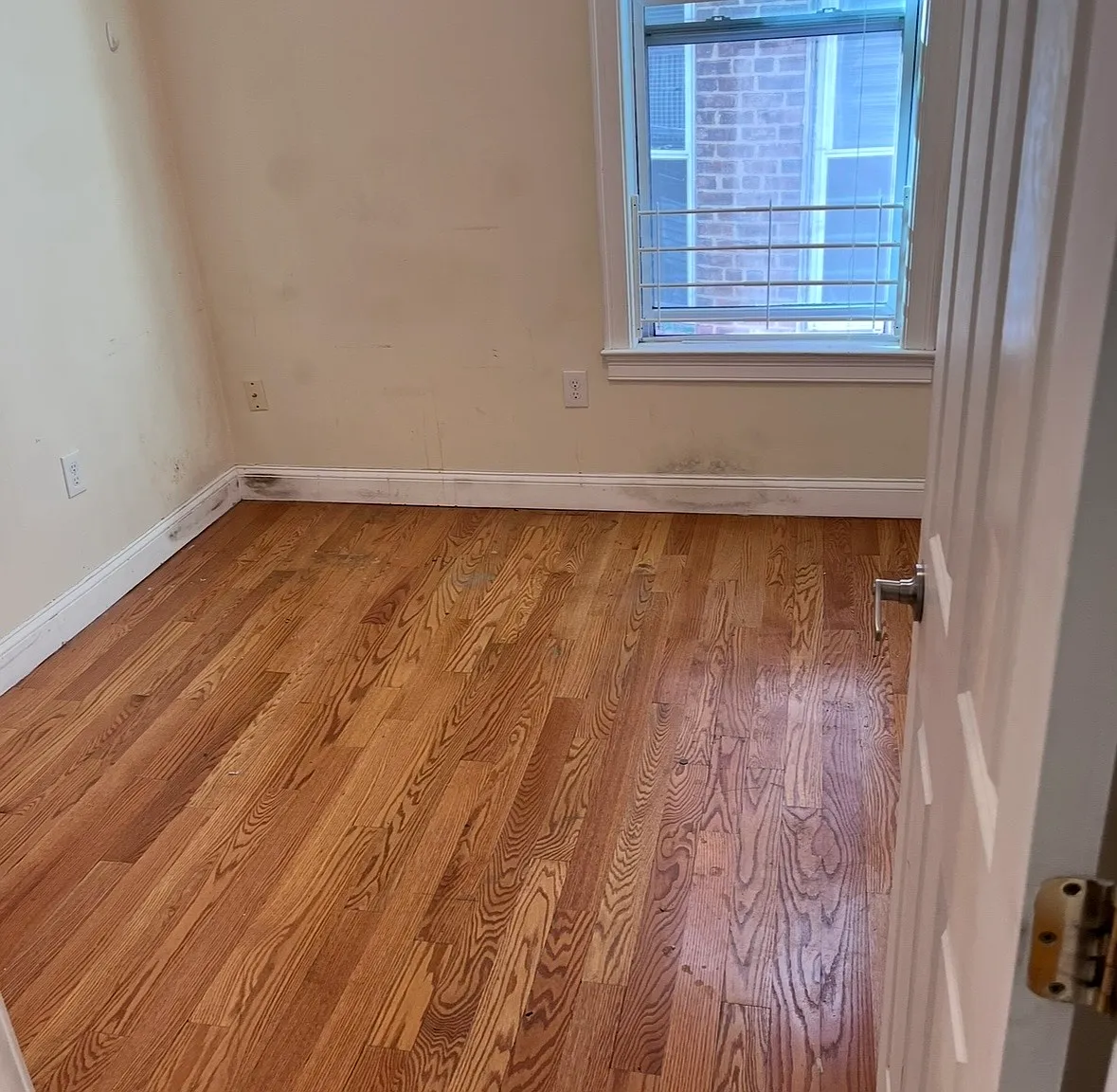 3 bed, 1.5 bath, 1000 sqft, $2,800 — Photo 4