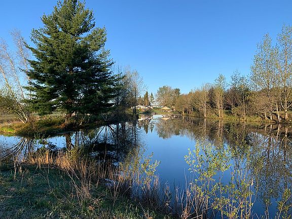 Pond