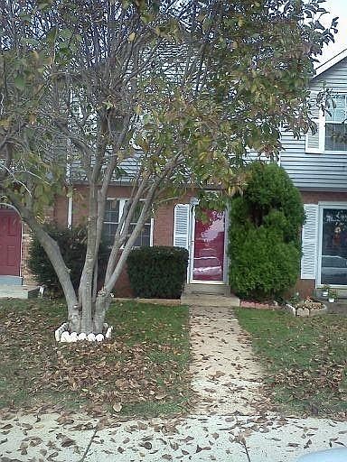 1st image of 3505 Forestdale Ave