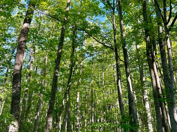 6885 Klein Rd, Hillman, MI 49746