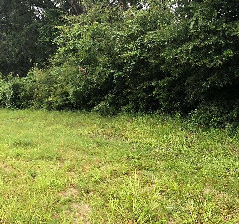 1st image of LOT 5 NE Hwy 349