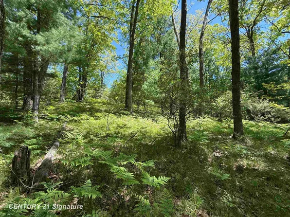981 E Cranberry Lake Rd, Harrison, MI 48625