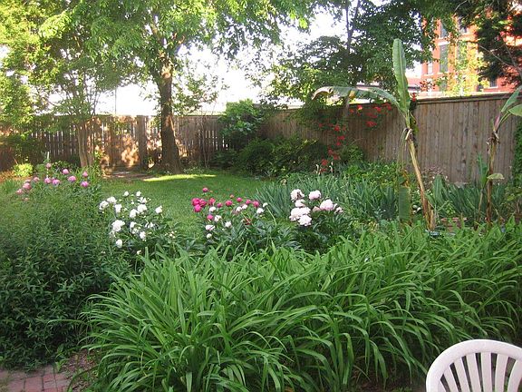 Rear Yard