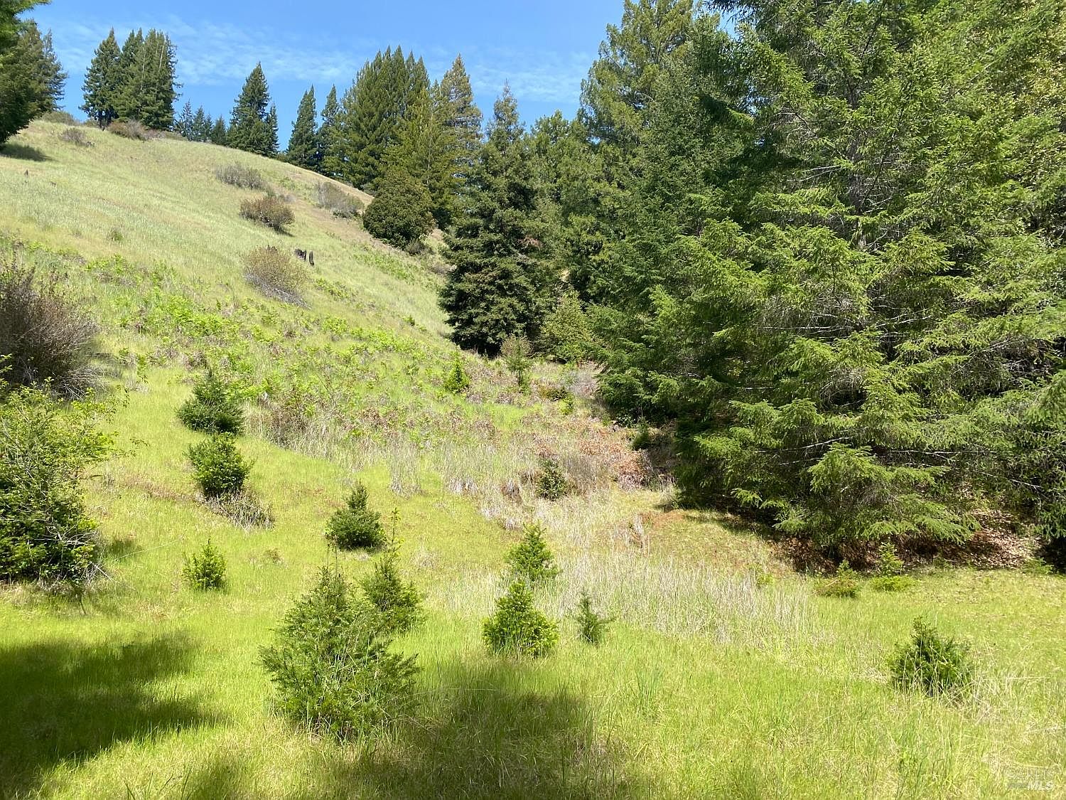 2101 Flynn Creek Rd, Philo, CA 95463 MLS 323002373 Zillow