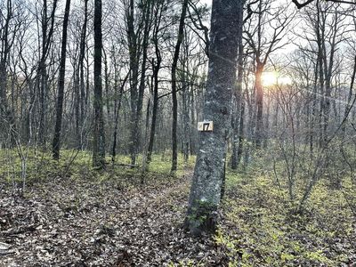 Lot 17 Glenridge, Glenville, NC, 28736