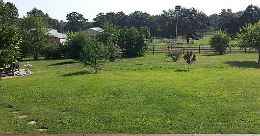 1st image of 109 County Road 8470